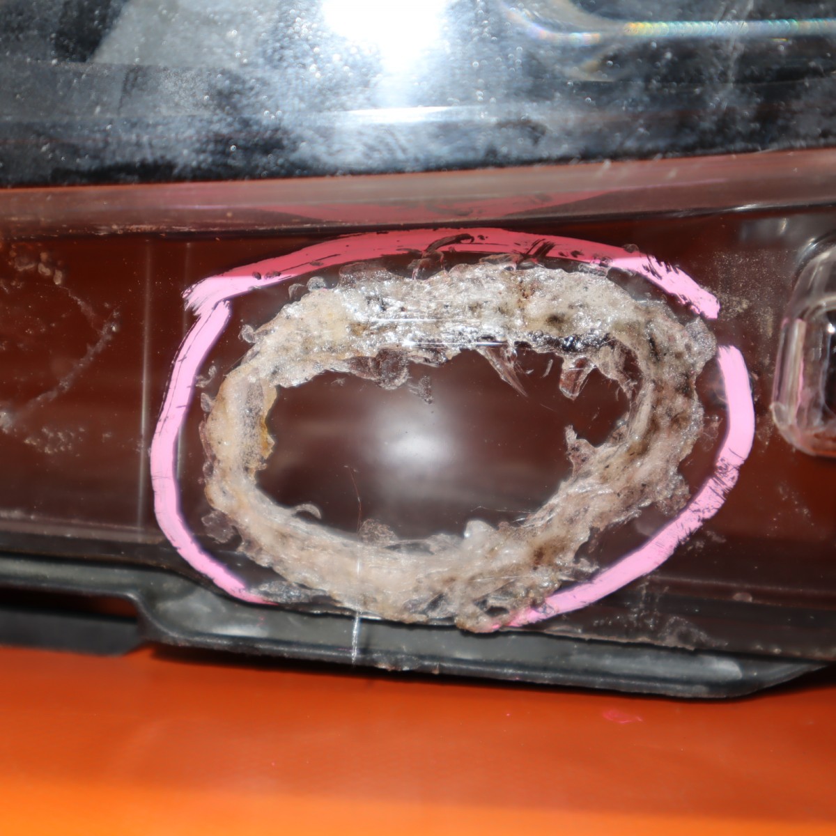 BMW 430 HEADLIGHT LEFT DRIVER 2018 2019 2020 M4 F32 440 XENON  